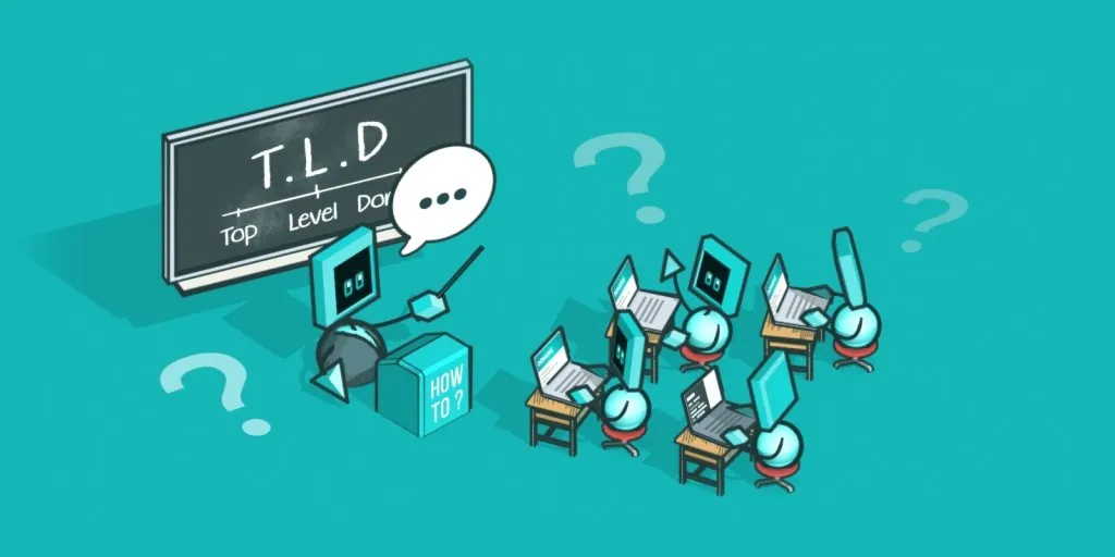PBN Domain management